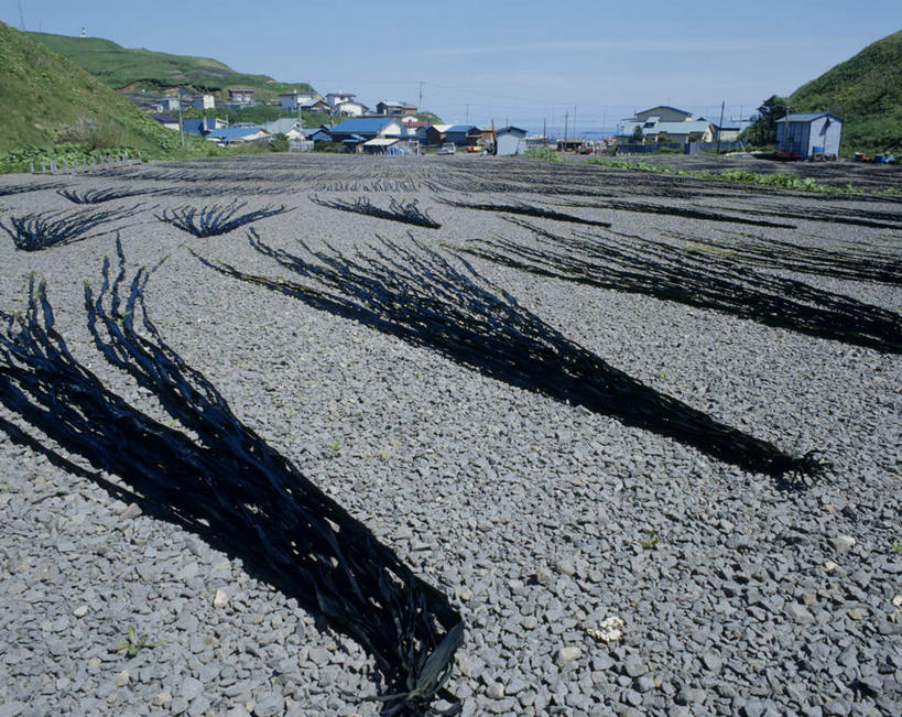 无人,横图,室外,白天,正面,旅游,度假,海底,水下,美景,山,山脉,植物,阴影,光线,影子,景观,山峰,水底,云,云朵,山峦,云彩,娱乐,树,树木,蓝色,绿色,白云,蓝天,天空,阳光,自然,群山,天,享受,休闲,海藻,景色,放松,海底世界,生长,晴朗,成长,海草,自然风光,海床,晴空,彩图