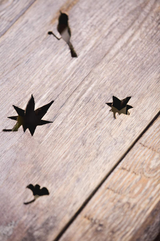 无人,竖图,俯视,室外,特写,白天,叶子,京都,日本,亚洲,枫叶,枯叶,落叶,黄色,红色,京都府,枫树叶,东亚,本州,本州岛,日本国,近畿地方,近畿,叶,叶片,彩图,高角度拍摄