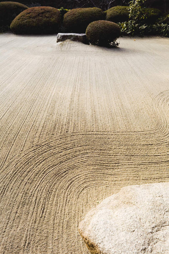 无人,花园,竖图,俯视,室外,白天,植物,京都,日本,亚洲,沙子,树,树木,绿色,自然,京都府,生长,成长,东亚,本州,本州岛,日本国,近畿地方,近畿,彩图,高角度拍摄