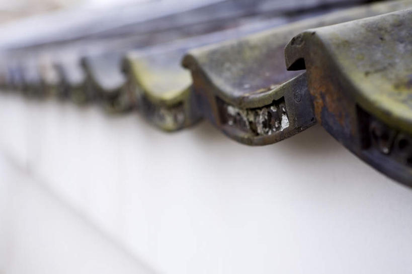 无人,横图,室外,特写,白天,正面,京都,日本,亚洲,一排,朦胧,模糊,整齐,瓦片,屋檐,檐,排列,京都府,队列,东亚,本州,本州岛,日本国,近畿地方,近畿,彩图