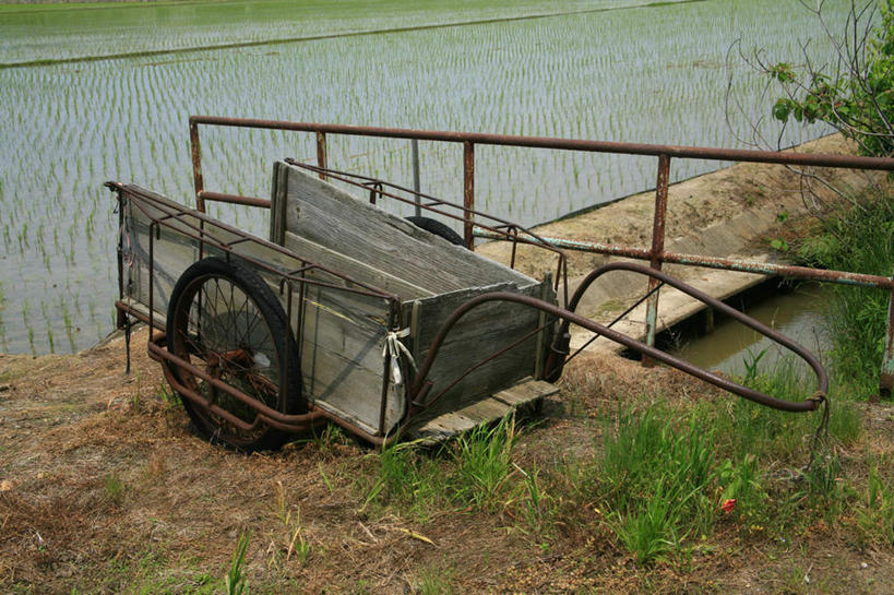 无人,农田,栏杆,横图,俯视,室外,白天,庄稼,草地,草坪,美景,植物,日本,亚洲,一辆,稻田,景观,围栏,护栏,草,绿色,自然,手推车,交通工具,景色,自然风光,东亚,本州,本州岛,日本国,近畿地方,近畿,滋贺,滋贺县,彩图,高角度拍摄,耕地,庄稼田