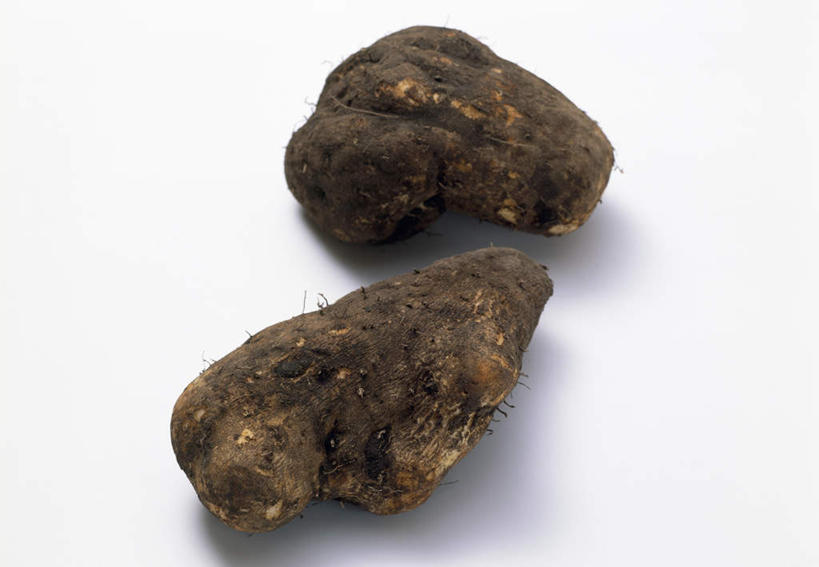 无人,横图,俯视,室内,特写,白天,白色背景,蔬菜,新鲜,山药,食品,食物,两个,摄影,有机食品,绿色食品,影棚,薯蓣,怀山药,淮山药,玉延,山薯,彩图,高角度拍摄,影棚拍摄,拍摄