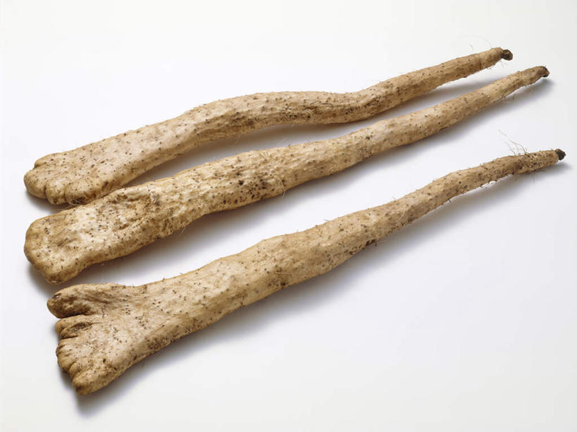 无人,横图,俯视,室内,特写,白天,白色背景,烹饪,蔬菜,新鲜,山药,食品,菜肴,美食,食物,三个,摄影,佳肴,有机食品,绿色食品,影棚,薯蓣,怀山药,淮山药,玉延,山薯,彩图,高角度拍摄,影棚拍摄,拍摄