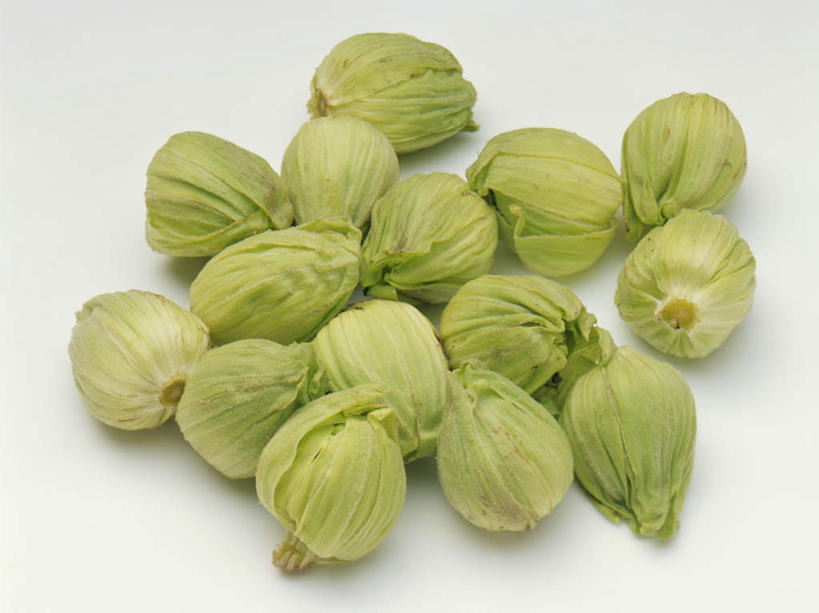 无人,横图,俯视,室内,特写,白天,白色背景,蔬菜,许多,新鲜,食品,食物,摄影,有机食品,绿色食品,影棚,公正,款冬花,冬花,款冬,款冻,菟奚,彩图,高角度拍摄,影棚拍摄,拍摄