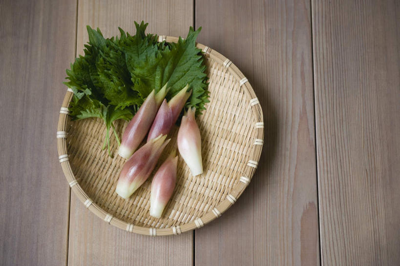 无人,横图,俯视,室内,白天,烹饪,叶子,篮子,日本料理,料理,食品,绿叶,菜肴,美食,食物,日式料理,日式,嫩叶,佳肴,紫苏,赤苏,红苏,黑苏,叶片,彩图,高角度拍摄