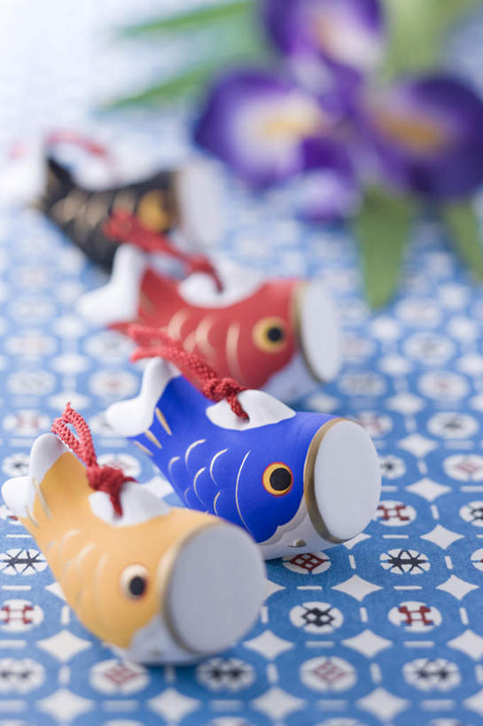 无人,竖图,俯视,室内,特写,白天,植物,朦胧,模糊,装饰,盛开,草药,花蕾,中药,花,花瓣,花朵,鲜花,饰品,花苞,花蕊,摄影,影棚,鸢尾,药材,中草药,中药材,本草,紫蝴蝶,蓝蝴蝶,乌鸢,扁竹花,彩图,高角度拍摄,影棚拍摄,拍摄