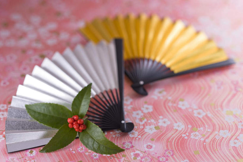 无人,横图,俯视,室内,特写,白天,叶子,红色背景,朦胧,模糊,扇子,折扇,纸扇,绿叶,两把,清凉,凉爽,文化,嫩叶,摄影,冬青,影棚,希望,生命,槲寄生,冻青,撒扇,丰饶,叶,叶片,彩图,高角度拍摄,影棚拍摄,拍摄,传统文化