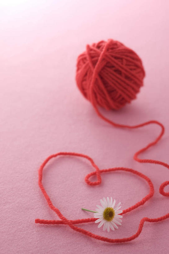 无人,竖图,室内,白天,正面,卷曲,盛开,编织,缠绕,织物,花蕾,线团,花,花瓣,花朵,鲜花,纺织,一个,红色,毛线,花苞,花蕊,摄影,影棚,单个,彩图,影棚拍摄,拍摄