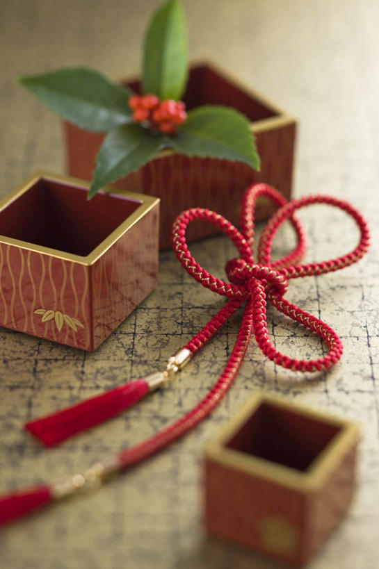 东方人,竖图,俯视,室内,白天,浆果,亚洲,桶,桑葚,桑椹,黄种人,容器,绳子,覆盆子,日本人,冬青,希望,储藏,绳索,生命,储存,槲寄生,冻青,丰饶,亚洲人,半身,彩图,高角度拍摄,贮存