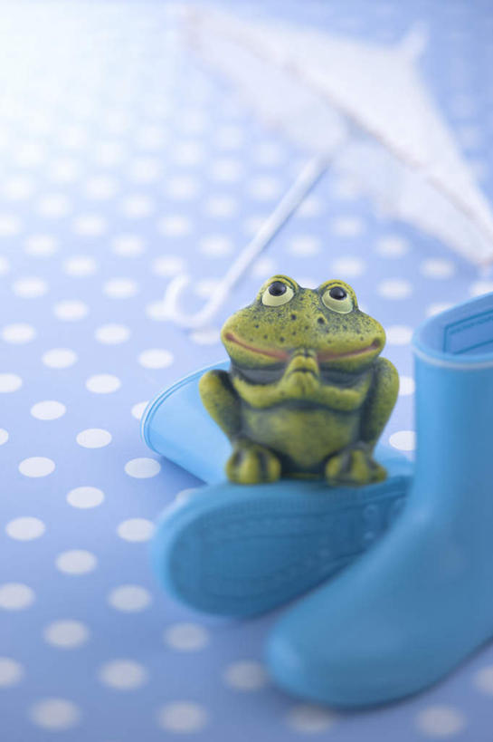 无人,坐,竖图,俯视,室内,特写,白天,青蛙,野生动物,鞋子,朦胧,模糊,伞,雨伞,雨鞋,雨靴,遮阳伞,注视,阳伞,靴子,一个,蓝色,动物,观察,看,可爱,摄影,活泼,影棚,单个,观看,察看,关注,胶鞋,坐着,彩图,高角度拍摄,全身,影棚拍摄,拍摄