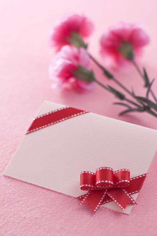 无人,竖图,俯视,室内,特写,白天,热情,康乃馨,母亲节,粉色背景,节日,朦胧,模糊,庆祝,装饰,盛开,丝绸,丝带,缎带,祝福,花蕾,文化,绸带,花,花瓣,花朵,鲜花,花苞,花蕊,庆典,母爱,清纯,摄影,影棚,纪念,华丽,修饰,点缀,亲情,衬托,美观,雅致,雅观,思念,宽容,热恋,真挚,热心,麝香石竹,石竹,香石竹,彩图,高角度拍摄,影棚拍摄,拍摄,魅力