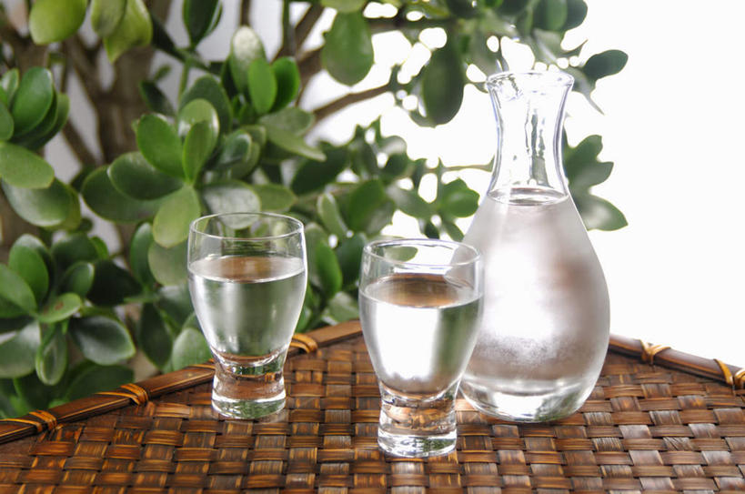 清酒,无人,竖图,室内,特写,白天,正面,植物,杯子,盆栽,盆景,酒类,玻璃制品,酒,饮料,三个,绿色,自然,水杯,摄影,影棚,生长,成长,玻璃杯,彩图,影棚拍摄,拍摄