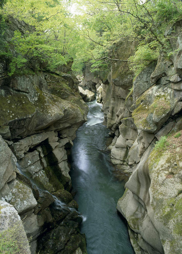 无人,竖图,俯视,室外,白天,旅游,度假,河流,美景,山,水,叶子,仙台,日本,亚洲,河水,景观,山峰,水流,绿叶,山峦,娱乐,自然,享受,休闲,嫩叶,景色,放松,自然风光,东亚,本州,本州岛,日本国,宫城,仙台市,宫城县,东北地方,县厅,叶,叶片,彩图,高角度拍摄