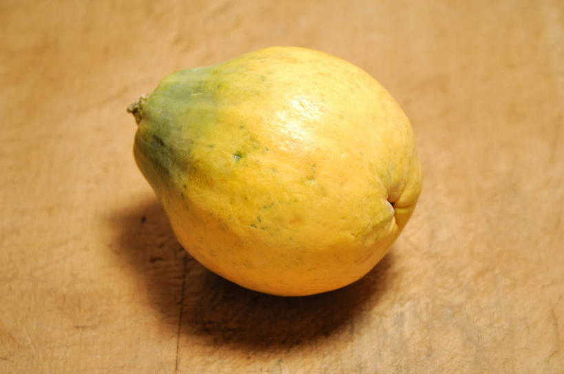 无人,横图,俯视,室内,特写,白天,木瓜,水果,新鲜,生食,食品,果实,食物,一个,摄影,有机食品,绿色食品,影棚,单个,万寿果,番木瓜,彩图,高角度拍摄,影棚拍摄,拍摄