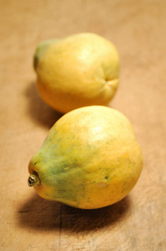 无人,竖图,俯视,室内,特写,白天,木瓜,水果,朦胧,模糊,新鲜,生食,食品,果实,食物,两个,摄影,有机食品,绿色食品,影棚,万寿果,番木瓜,彩图,高角度拍摄,影棚拍摄,拍摄