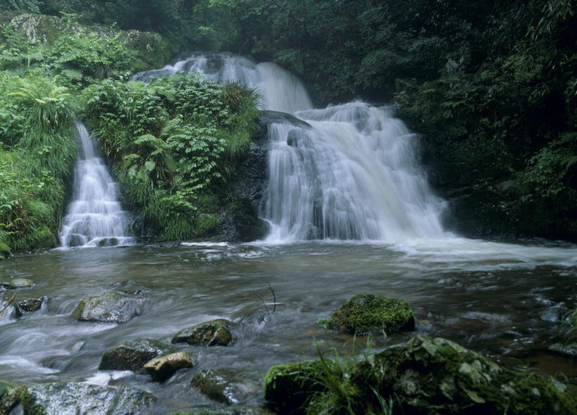 无人,横图,室外,白天,正面,旅游,度假,石头,美景,瀑布,森林,树林,水,植物,日本,亚洲,飞溅,溅,石子,液体,景观,娱乐,树,树木,绿色,自然,享受,休闲,景色,放松,生长,成长,喷洒,自然风光,东亚,本州,茨城,茨城县,关东地方,本州岛,日本国,县厅,跌水,石块,岩石,彩图,水户,水户市,水戸,水戸市
