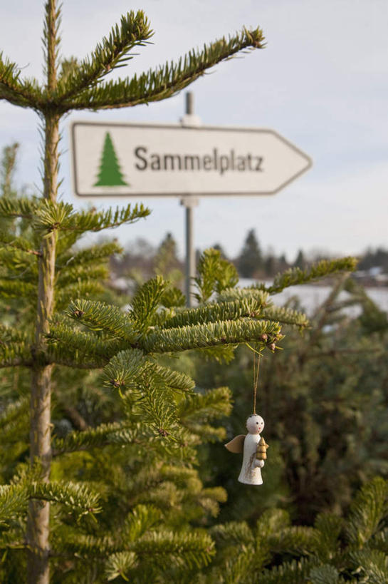 无人,竖图,室外,白天,正面,旅游,度假,美景,植物,指示牌,德国,欧洲,圣诞节,节日,朦胧,模糊,庆祝,标志,文字,景观,云,云朵,云彩,文化,娱乐,标识,树,树木,蓝色,绿色,白云,蓝天,天空,自然,天,庆典,享受,休闲,景色,放松,生长,晴朗,成长,纪念,西欧,自然风光,斯图加特,德意志联邦共和国,州府,巴登.符腾堡,巴登.符腾堡州,巴符州,晴空,彩图