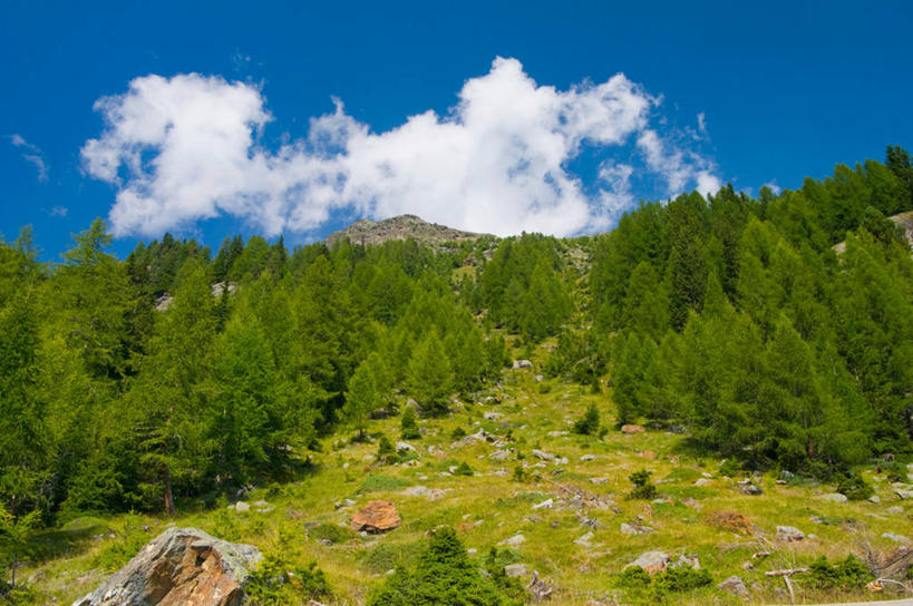 无人,横图,室外,白天,仰视,旅游,度假,草地,草坪,石头,美景,山,山脉,树林,植物,意大利,欧洲,阴影,光线,石子,影子,景观,山峰,云,云朵,山峦,云彩,娱乐,草,树,树木,蓝色,绿色,白云,蓝天,天空,阳光,自然,群山,天,享受,休闲,景色,放松,生长,晴朗,成长,南欧,自然风光,意大利共和国,南蒂罗尔,石块,晴空,彩图,低角度拍摄
