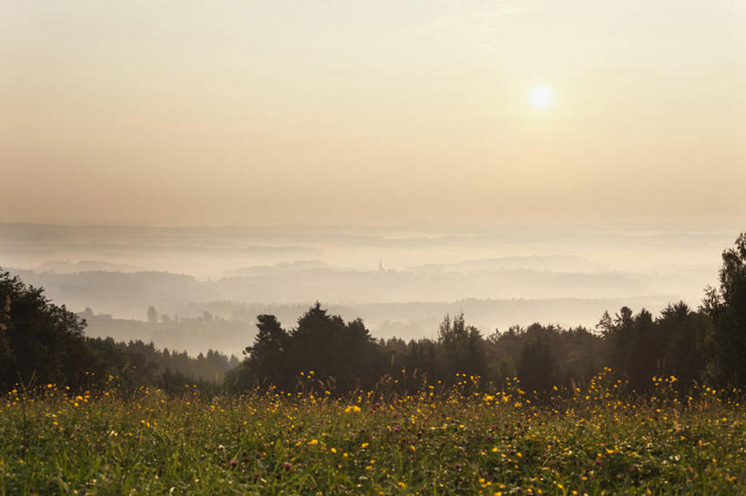 无人,横图,室外,白天,正面,旅游,度假,日出,花海,花圃,美景,太阳,植物,雾,叶子,奥地利,欧洲,朦胧,模糊,盛开,景观,朝霞,晨曦,黎明,花蕾,娱乐,花,花瓣,花朵,花卉,鲜花,树,树木,黄色,绿色,阳光,自然,花丛,花束,花田,花苞,花蕊,享受,休闲,景色,放松,生长,成长,迷雾,自然风光,中欧,奥地利共和国,施蒂利亚州,施泰尔马克州,朝阳,大雾,彩图,卯时,破晓,日始
