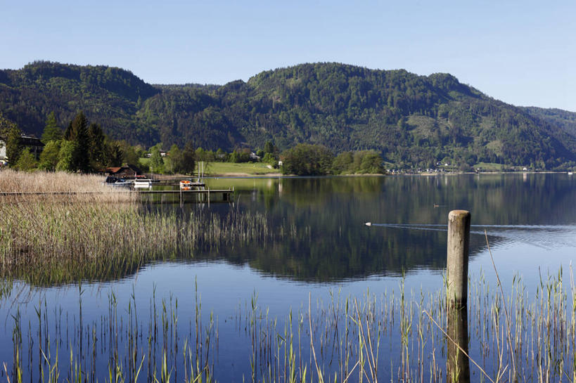 无人,横图,室外,白天,正面,旅游,度假,草地,草坪,湖,湖泊,美景,森林,山,山脉,树林,水,植物,奥地利,欧洲,阴影,波纹,光线,影子,湖面,景观,山峰,水流,水面,涟漪,山峦,娱乐,草,树,树木,蓝色,绿色,倒影,蓝天,水纹,天空,阳光,自然,波浪,湖水,群山,天,享受,休闲,景色,放松,生长,晴朗,成长,倒映,自然风光,中欧,万里无云,水晕,奥地利共和国,反照,克恩顿州,卡林西亚,克恩滕州,晴空,晴空万里,彩图,奥西亚赫,费尔德基兴,费尔德基兴县