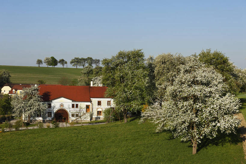 无人,家,横图,室外,白天,正面,旅游,度假,草地,草坪,美景,植物,奥地利,欧洲,阴影,盛开,光线,影子,房屋,屋子,景观,花蕾,娱乐,楼房,住宅,草,花,花瓣,花朵,鲜花,树,树木,蓝色,绿色,蓝天,天空,阳光,自然,天,花苞,花蕊,享受,休闲,景色,放松,生长,晴朗,成长,自然风光,中欧,万里无云,奥地利共和国,下奥地利,下奥地利州,晴空,晴空万里,彩图,房子,瓦尔德威尔特尔