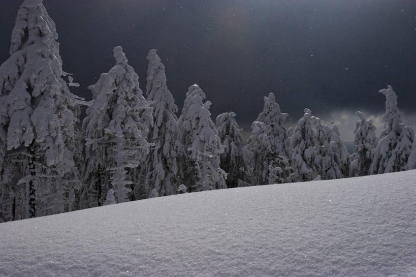 无人,横图,室外,夜晚,正面,旅游,度假,美景,山,树林,雪,雪山,植物,大雪,松树,德国,欧洲,冰,积雪,景观,山峰,雪景,冬季,冬天,山峦,娱乐,树,树木,绿色,自然,享受,休闲,景色,放松,寒冷,生长,成长,冰冷,西欧,自然风光,杉树,坚定,德意志联邦共和国,长寿,严寒,冰凉,酷寒,凛冽,凛凛,贞洁,极冷,萨克森.安哈尔特,萨克森.安哈尔特州,彩图,哈尔茨县