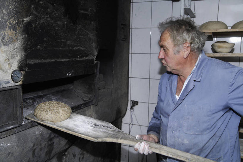 点心,面包,西方人,一个人,站,举,横图,室内,白天,侧面,工作服,制服,烹饪,厨具,欧洲,欧洲人,仅一个男性,仅一个人,握,电器,烤炉,烤箱,木板,食品,面点,拿,拿着,注视,食物,糕点,观察,看,托,站着,仅一个老年男性,握着,观看,察看,家电,家用电器,关注,面点师,炊具,烘焙师,烹饪用具,工作制服,老年男性,男人,男性,白种人,烹调用具,举起,举手,举着,烹调,向上举,向上伸,向上托,站立,半身,彩图,工作套服,小家电