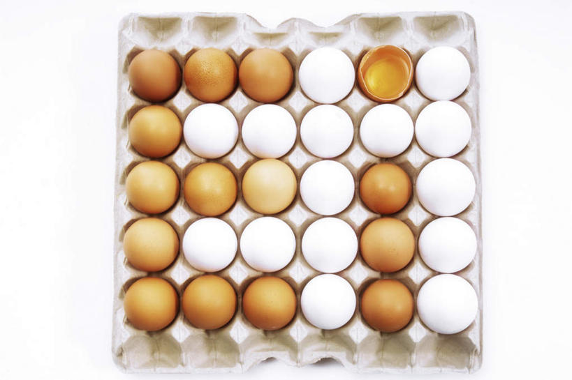 无人,横图,俯视,室内,特写,白天,白色背景,一排,许多,阴影,环保,整齐,反射,蛋格,影子,蛋,鸡蛋,很多,排列,摄影,影棚,能源,回收,资源,队列,利用,低碳,鸡蛋盒,循环,草鸡蛋,鸡蛋格,蛋托,蛋盒,卵,持续,彩图,高角度拍摄,影棚拍摄,拍摄