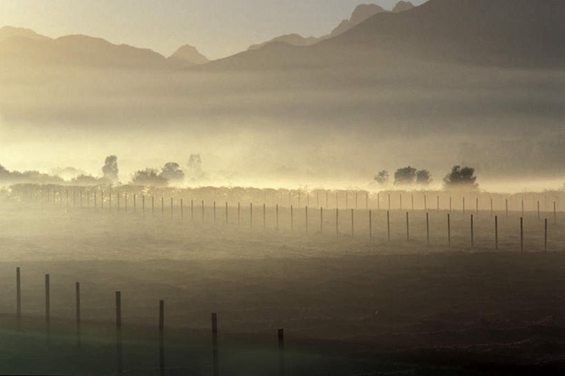 无人,栏杆,横图,室外,白天,正面,旅游,度假,草地,草坪,石头,美景,山,山脉,植物,雾,非洲,南非,朦胧,模糊,石子,栅栏,景观,篱笆,山峰,围栏,山峦,首都,娱乐,护栏,草,树,树木,绿色,自然,群山,享受,休闲,景色,放松,生长,成长,迷雾,自然风光,开普敦,省会,阿非利加洲,立法首都,南非共和国,西开普省,斯泰伦博斯,石块,岩石,大雾,彩图