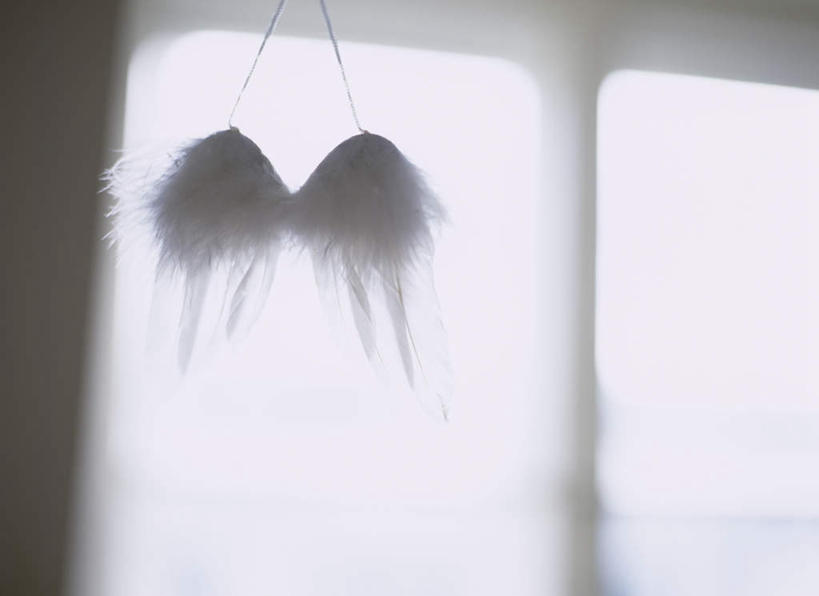 无人,横图,室内,特写,白天,仰视,窗户,天使,吊挂,悬挂,阴影,朦胧,模糊,反射,翅膀,影子,挂,玻璃窗,神圣,善良,信徒,使者,圣洁,彩图,低角度拍摄