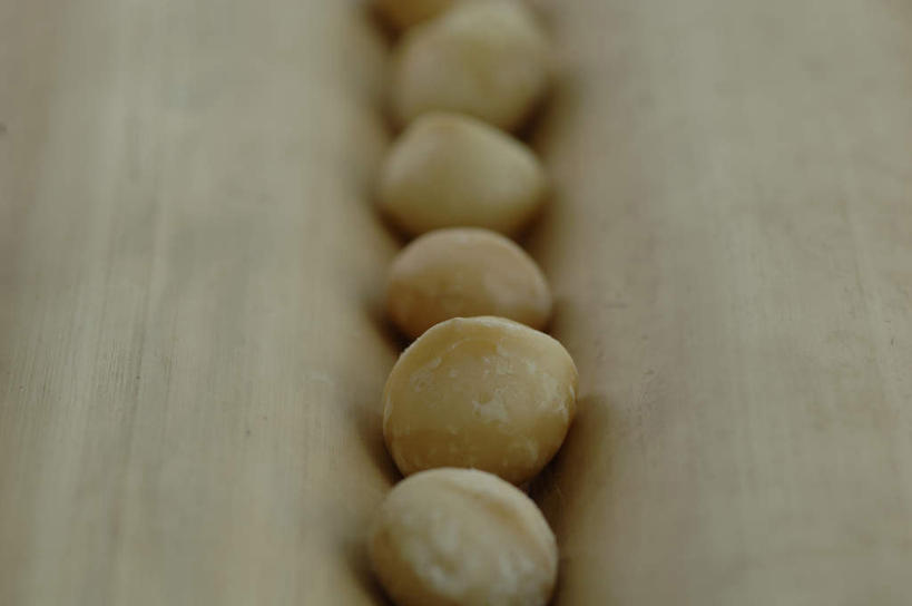 无人,横图,俯视,室内,特写,白天,一排,许多,阴影,朦胧,模糊,整齐,反射,影子,核桃,坚果,果实,排列,干果,摄影,影棚,队列,胡桃,澳洲坚果,夏威夷果,羌桃,澳洲胡桃,彩图,高角度拍摄,影棚拍摄,拍摄