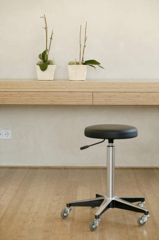 无人,竖图,室内,白天,正面,植物,餐桌,桌子,叶子,椅子,一把,阴影,反射,盆栽,影子,墙,绿叶,盆景,座椅,墙壁,墙面,两个,绿色,白色,自然,嫩叶,生长,成长,餐台,升降椅,叶,叶片,彩图