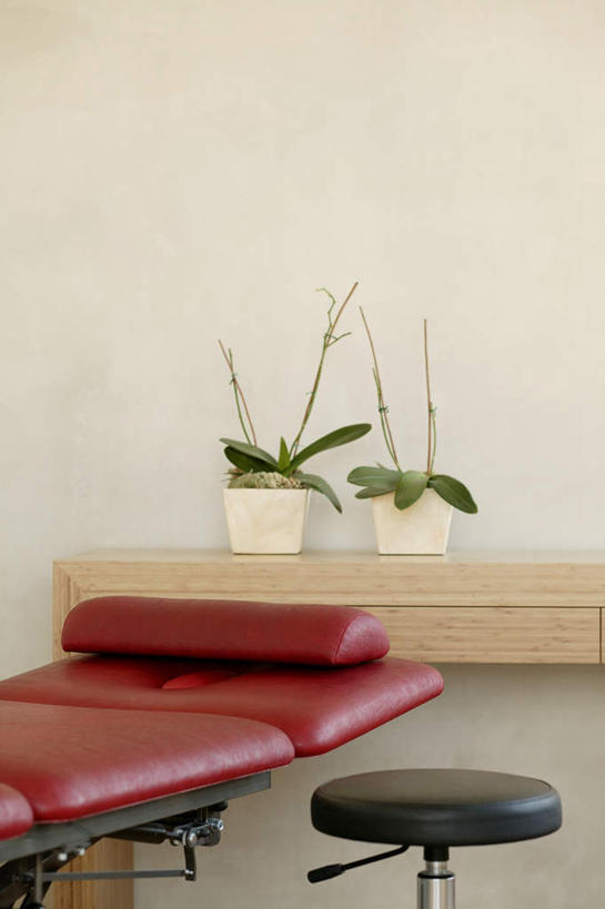 无人,医院,竖图,室内,白天,正面,植物,餐桌,床,桌子,叶子,椅子,一把,阴影,反射,盆栽,影子,墙,绿叶,床单,盆景,被子,座椅,墙壁,墙面,两个,红色,绿色,白色,自然,嫩叶,单人床,生长,成长,餐台,被单,医疗机构,升降椅,叶,叶片,彩图,病院,诊所