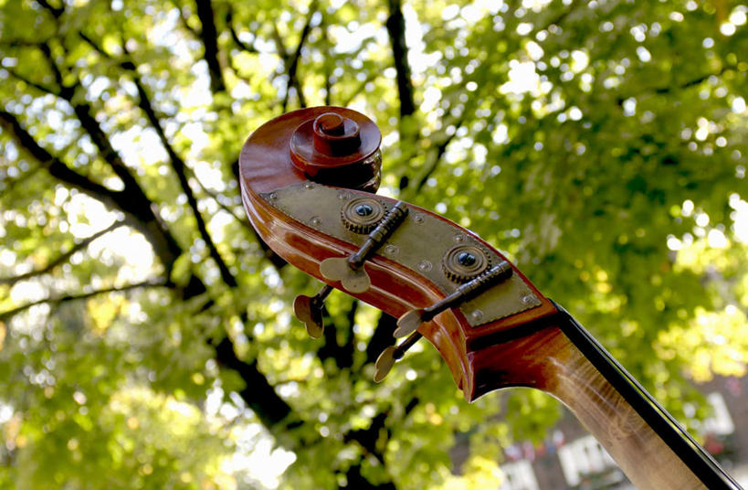 无人,横图,室外,特写,白天,仰视,森林,树林,植物,阴影,朦胧,模糊,光线,影子,乐器,弦乐器,树,树木,蓝色,绿色,蓝天,天空,阳光,自然,天,生长,晴朗,成长,弓拉弦乐器,弓拉弦鸣乐器,万里无云,低音提琴,倍大提琴,擦奏弦鸣乐器,晴空,晴空万里,彩图,低角度拍摄