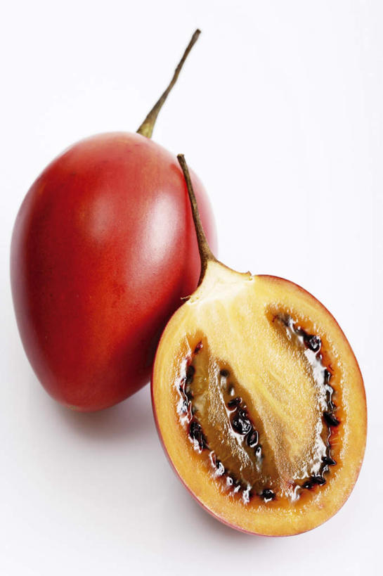 无人,竖图,室内,特写,白天,白色背景,正面,水果,切开,阴影,新鲜,反射,影子,生食,食品,果实,食物,两个,切,摄影,有机食品,绿色食品,影棚,树番茄,剖面,切面,番茄,彩图,影棚拍摄,拍摄,树茄果