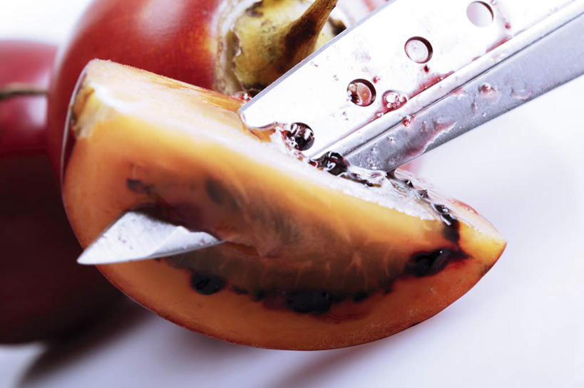 无人,横图,俯视,室内,特写,白天,白色背景,水果,金属制品,一把,切开,阴影,朦胧,模糊,新鲜,反射,金属,工具,影子,生食,食品,果实,刀具,食物,刀,切,摄影,有机食品,绿色食品,影棚,水果刀,树番茄,剖面,切面,番茄,彩图,高角度拍摄,影棚拍摄,拍摄,树茄果