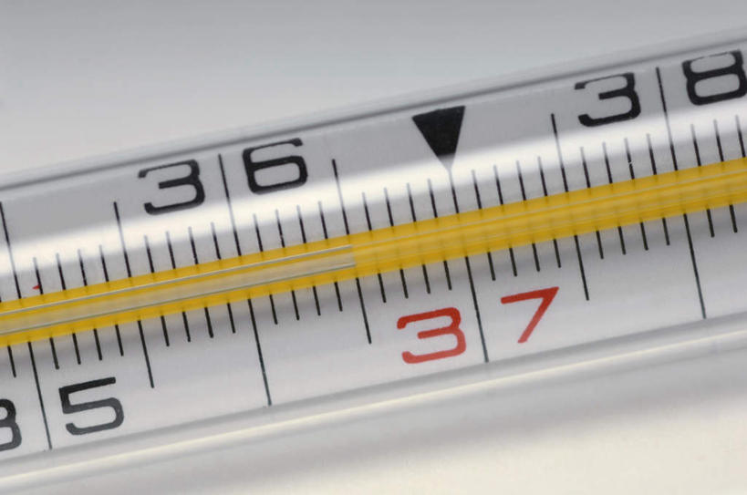 无人,横图,室内,特写,白天,白色背景,正面,生活用品,静物,阴影,反射,医学,测量,标志,器材,数字,温度计,文字,影子,字符,刻度,方向,标识,箭头,玻璃制品,一个,体温计,摄影,阿拉伯数字,影棚,单个,快速,温度,感冒,医疗,准确,指向,体温,精度,精准,发烧,水银温度计,流感,物理,水银体温计,水银柱,缩口,玻璃体温计,玻璃温度计,医用温度计,簇,彩图,影棚拍摄,拍摄