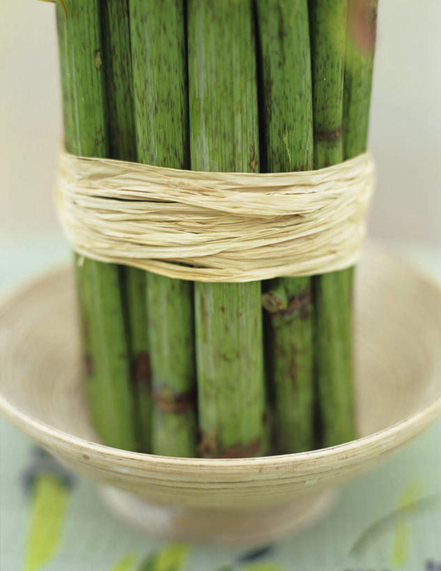 无人,竖图,俯视,室内,特写,白天,纯洁,竹子,阴影,朦胧,模糊,反射,影子,陶瓷,陶瓷制品,一个,白色,容器,碗,摄影,影棚,单个,储藏,高雅,储存,奉献,质朴,正直,担当,竹,彩图,高角度拍摄,影棚拍摄,拍摄,奋进,操守,四君子,岁寒三友,性坚,虚怀,虚心,贮存,善群,卓尔