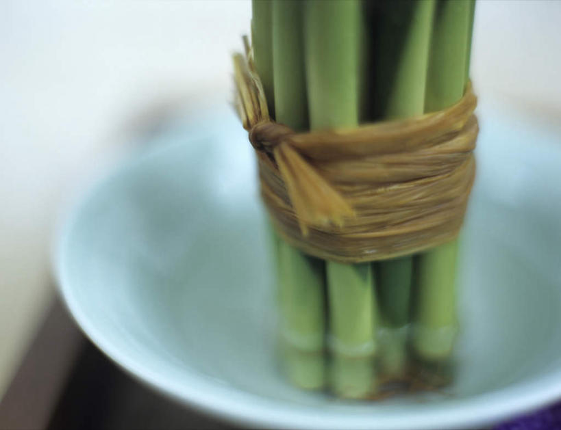 无人,横图,俯视,室内,特写,白天,纯洁,竹子,阴影,朦胧,模糊,反射,影子,陶瓷,陶瓷制品,一个,白色,容器,碗,摄影,影棚,单个,储藏,高雅,储存,奉献,质朴,正直,担当,竹,彩图,高角度拍摄,影棚拍摄,拍摄,奋进,操守,四君子,岁寒三友,性坚,虚怀,虚心,贮存,善群,卓尔