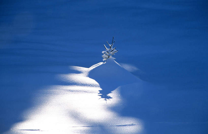 无人,横图,俯视,室外,白天,旅游,度假,美景,雪,植物,大雪,德国,欧洲,积雪,景观,雪景,冬天,娱乐,树,树木,绿色,自然,享受,休闲,景色,放松,生长,成长,西欧,自然风光,德意志联邦共和国,巴伐利亚,巴伐利亚州,拜恩州,拜恩自由州,彩图,高角度拍摄