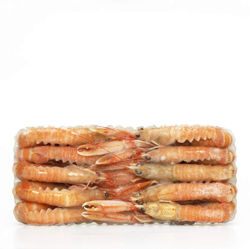 无人,横图,俯视,室内,特写,白天,白色背景,一排,许多,阴影,整齐,反射,影子,虾,冷冻,大虾,排列,摄影,影棚,对虾,队列,斑节虾,东方对虾,中国对虾,彩图,高角度拍摄,影棚拍摄,拍摄