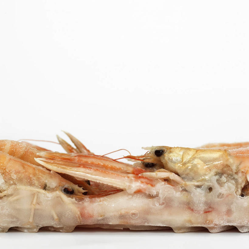 无人,横图,俯视,室内,特写,白天,白色背景,一排,许多,阴影,整齐,反射,影子,虾,冷冻,大虾,排列,摄影,影棚,对虾,队列,斑节虾,东方对虾,中国对虾,彩图,高角度拍摄,影棚拍摄,拍摄