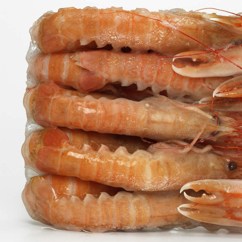 无人,横图,俯视,室内,特写,白天,白色背景,一排,许多,阴影,整齐,反射,影子,虾,冷冻,大虾,排列,摄影,影棚,对虾,队列,斑节虾,东方对虾,中国对虾,彩图,高角度拍摄,影棚拍摄,拍摄