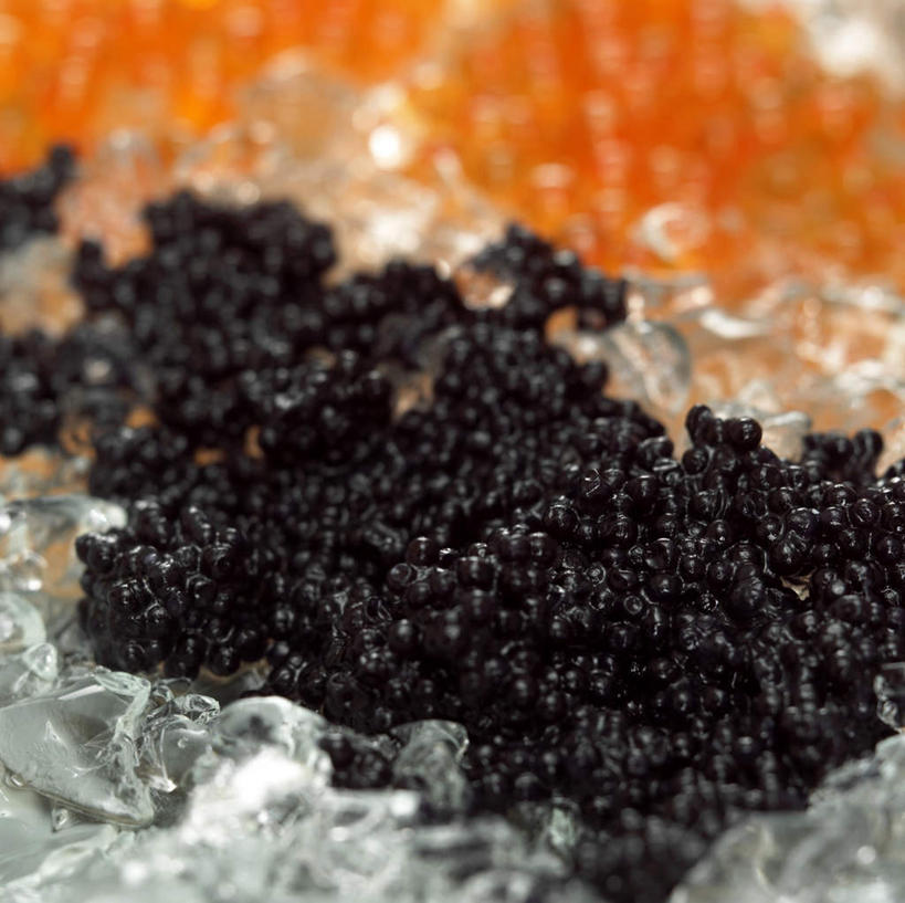 鱼子酱,无人,横图,俯视,室内,特写,一堆,许多,阴影,堆叠,堆积,朦胧,模糊,反射,影子,冰,鱼卵,冰块,鱼籽,冷冻,黑色,天,橙色,寒冷,摄影,影棚,冷藏,堆,冰冷,保鲜,乌鱼子,彩图,高角度拍摄,影棚拍摄,拍摄