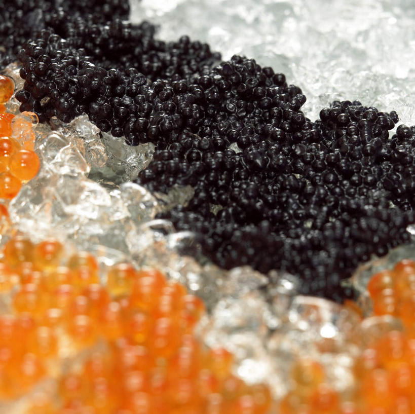 鱼子酱,无人,横图,俯视,室内,特写,一堆,许多,阴影,堆叠,堆积,朦胧,模糊,反射,影子,冰,鱼卵,冰块,鱼籽,冷冻,黑色,天,橙色,寒冷,摄影,影棚,冷藏,堆,冰冷,保鲜,乌鱼子,彩图,高角度拍摄,影棚拍摄,拍摄