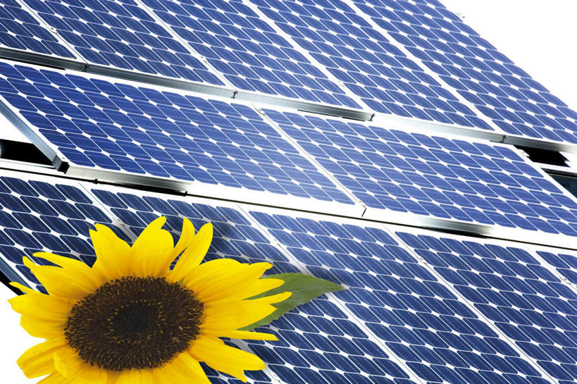 无人,横图,室内,白天,正面,向日葵,环保,盛开,电力,电能,花蕾,花,花瓣,花朵,鲜花,一朵,花苞,花蕊,橙色,能源,存储,回收,资源,储存,蓄电池,利用,低碳,循环,干电池,蓄电,持续,太阳能电池,彩图,电池