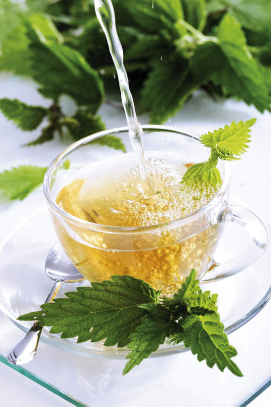 无人,竖图,室内,白天,白色背景,正面,幸福,水,茶,杯子,餐具,叶子,朦胧,模糊,碟子,盘,液体,茶叶,绿叶,薄荷叶,水柱,饮品,娱乐,盘子,水杯,碟,花茶,享受,休闲,温馨,嫩叶,放松,乐趣,保健,养生,摄影,影棚,花草茶,舒适,薄荷茶,香花茶,香片,熏花茶,叶,叶片,茶杯,彩图,影棚拍摄,拍摄