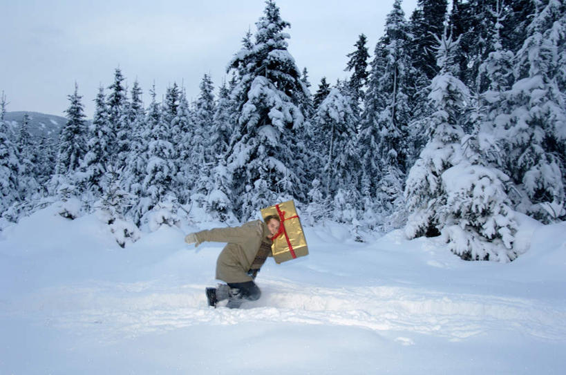 西方人,一个人,走,横图,室外,白天,侧面,雪,植物,大雪,松树,礼盒,礼物,欧洲,欧洲人,仅一个男性,仅一个人,服装,纸盒,积雪,雪景,冬天,注视,休闲装,盒子,树,树木,仅一个年轻男性,衣服,绿色,自然,包装盒,礼品盒,观察,看,扛,休闲,休闲服,服饰,礼品,生长,成长,观看,察看,关注,扛在肩上,骑在肩上,男人,男性,年轻男性,白种人,步行,散步,走路,彩图,全身