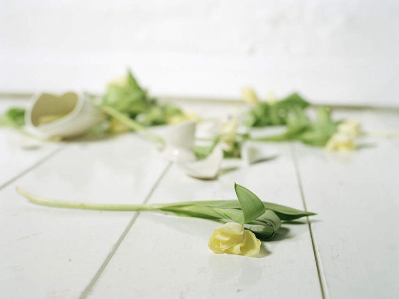 无人,横图,俯视,室内,白天,地板,花瓶,叶子,朦胧,模糊,破碎,干枯,绿叶,地面,凌乱,花蕾,木地板,玻璃制品,花,花瓣,玻璃瓶,瓶子,花苞,花蕊,混乱,纷乱,缭乱,庞杂,叶,叶片,彩图,高角度拍摄