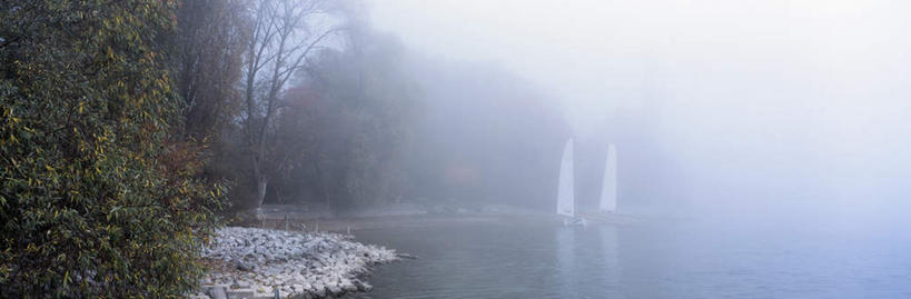 帆船,无人,横图,室外,白天,正面,旅游,度假,湖,湖泊,美景,森林,树林,水,植物,雾,船,德国,欧洲,朦胧,模糊,湖面,景观,水流,水面,娱乐,树,树木,绿色,自然,交通工具,湖水,享受,休闲,景色,放松,生长,成长,淡水湖,迷雾,西欧,自然风光,载具,德意志联邦共和国,博登湖,康斯坦茨湖,大雾,彩图